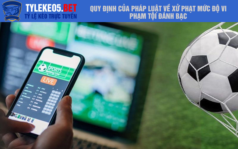 Quy định của pháp luật về xử phạt mức độ vi phạm tội đánh bạc