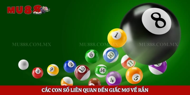 Mơ Thấy Rắn - Giải Mã Điềm Báo Và Ý Nghĩa Từng Trường Hợp 6 Các con số liên quan đến giấc mơ về rắn