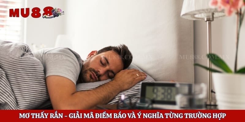 Mơ Thấy Rắn - Giải Mã Điềm Báo Và Ý Nghĩa Từng Trường Hợp 1 Mơ Thấy Rắn - Giải Mã Điềm Báo Và Ý Nghĩa Từng Trường Hợp